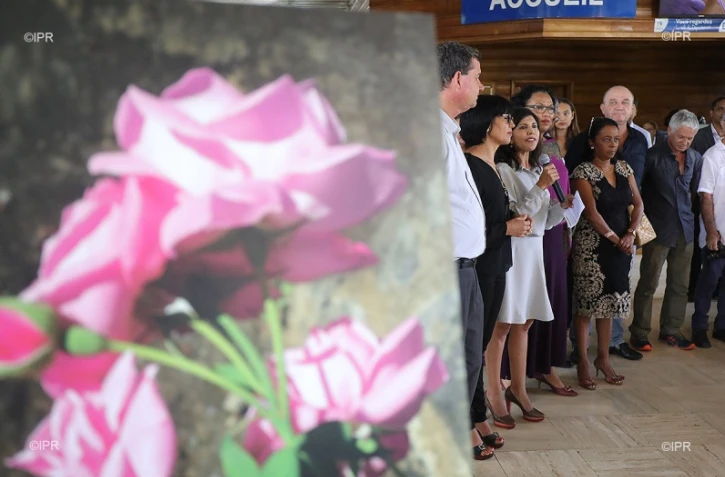 La rose de bourbon