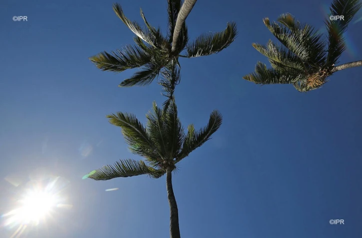 météo réunion 