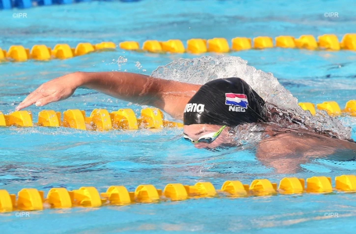 natation 