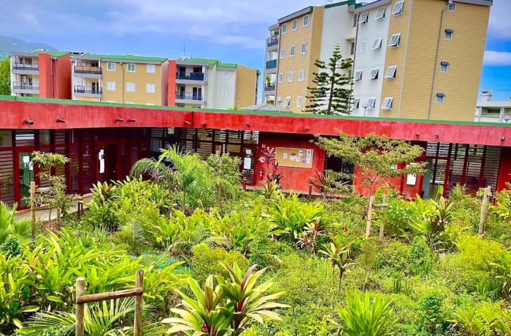 Saint-Denis : l'académie des Camélias dévoile ses projets pour 2025