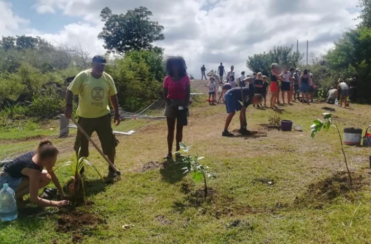 Casabona : près de 200 pie dbwa plantés ce dimanche 
