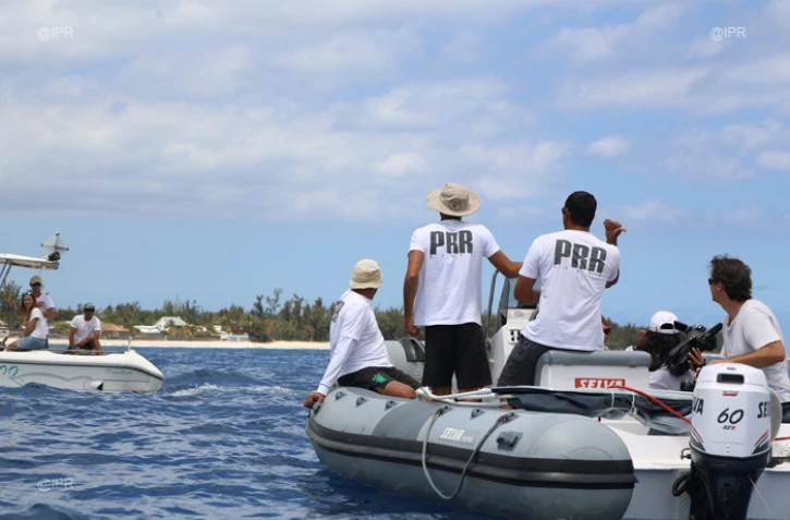 Cap Requins Roches Noires