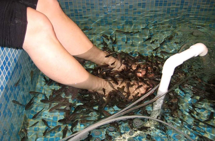 Fish pedicure
