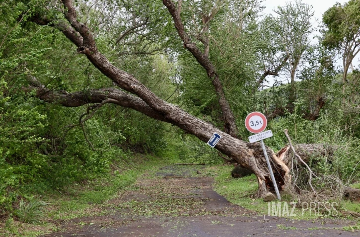 Cyclone Belal : Le Port