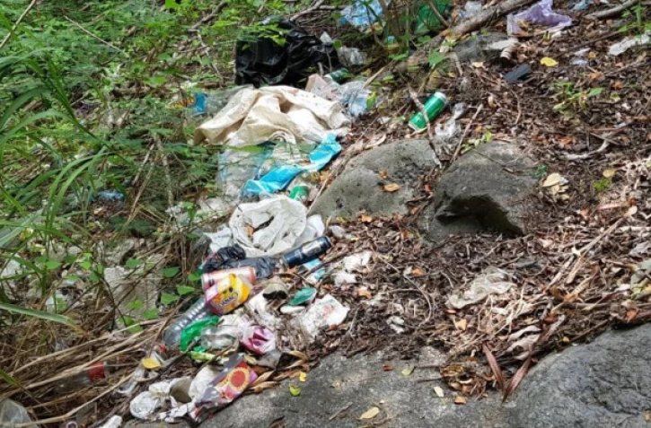 101 dépôts sauvages repérées par Band Cochon cette semaine