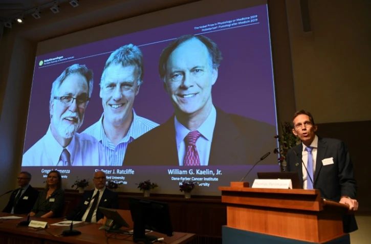 Les photos des vainqueurs du prix Nobel de médecine, les Américains William Kaelin et Gregg Semenza et le Britannique Peter Ratcliffe, le 7 octobre 2019 à l'Institut Karolinska de Stockholm, en Suède
