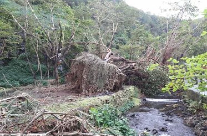 Anse des Cascades après Fakir
