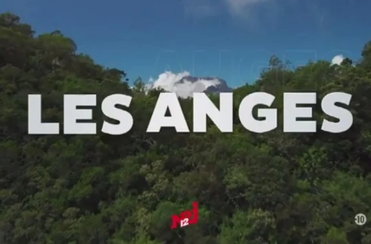 La prochaine saison de l'émission Les Anges de la téléréalité aura lieu... à La Réunion