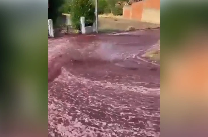 Un torrent de vin rouge déferle sur les rues du Portugal