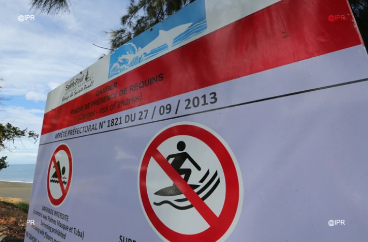 Panneaux Requins