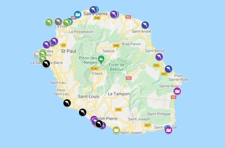 Mammifères marins : un à trois échouages par an à La Réunion 