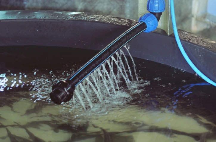 Le premier caviar africain, produit à Madagascar 