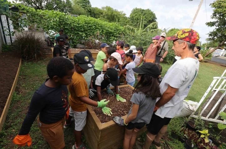 Saint-Pierre : l'école Benjamin Moloise installe un potager dans la maison de quartier de Pierrefonds