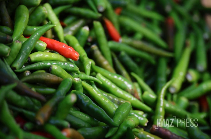 Marché forain en couleur 