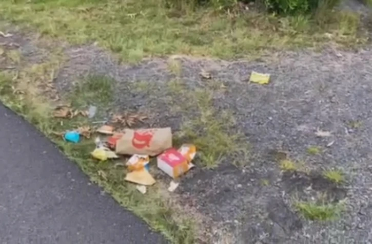 (Encore) des dépôts sauvages sur la Route des laves