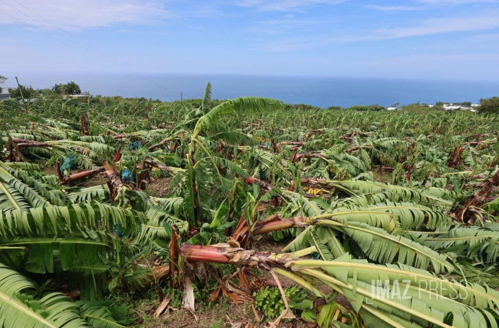 Garance : La Réunion, l'île en phase de sauvegarde