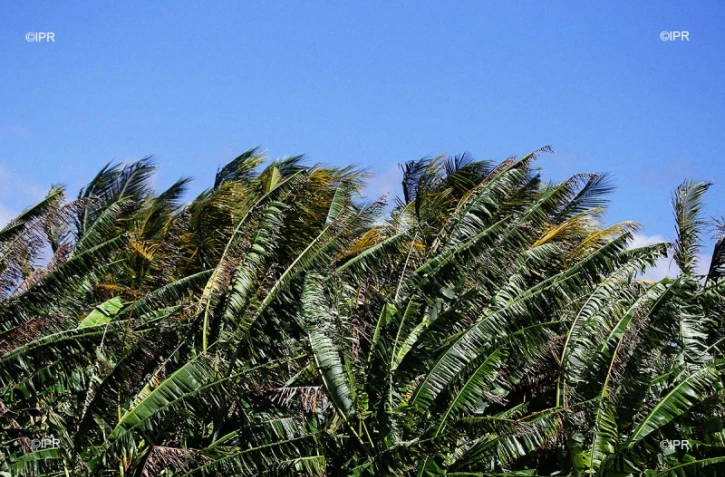 Météo Réunion 