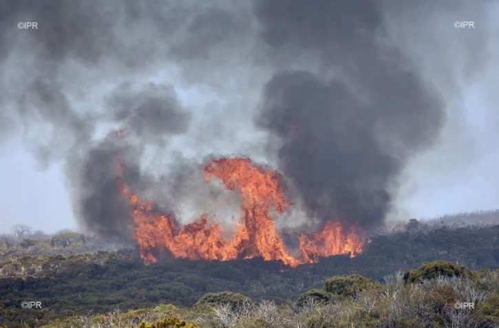 Incendie au Maïdo 