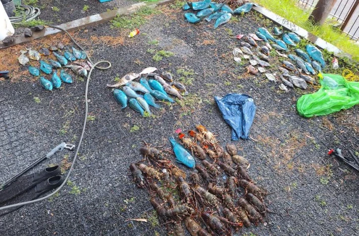 Braconnage nocturne : près de 80 kg de poissons et de crustacés saisis dans la réserve naturelle marine