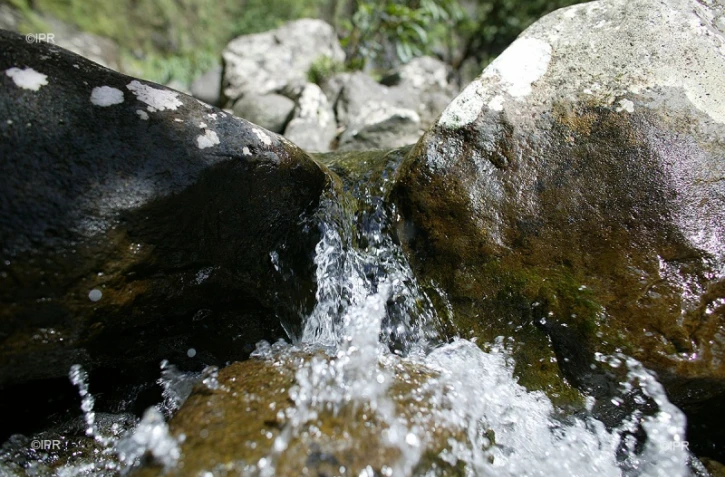 eau 