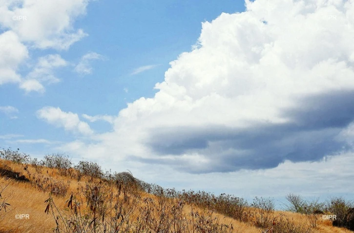 météo réunion 