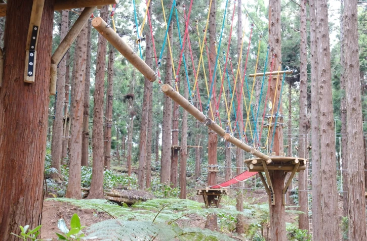 Un nouveau parc d’accrobranche au cœur du Maïdo
