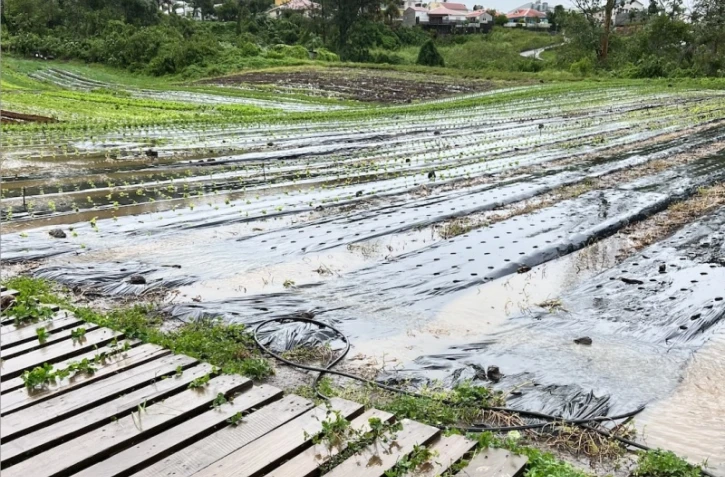 dégâts Trois-Mares
