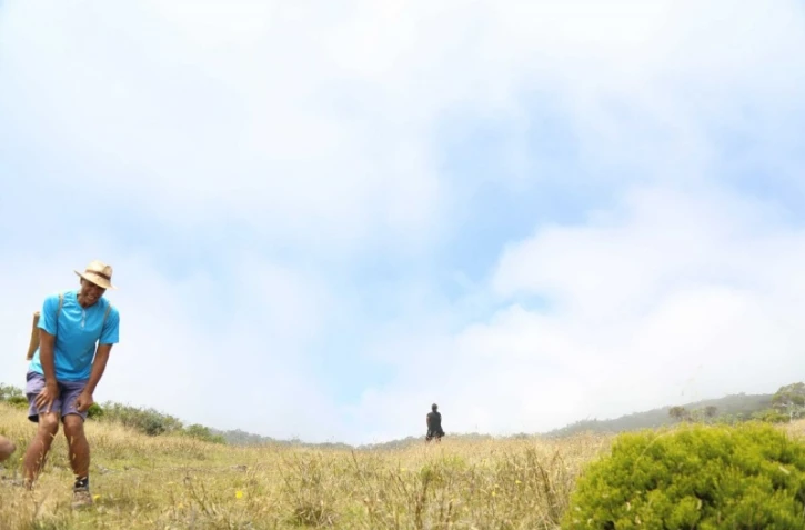 Balade créative dans la Plaine des Cafres