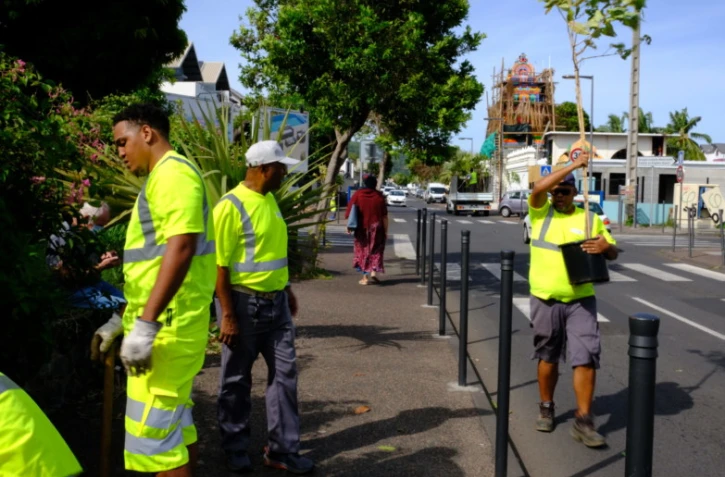 Saint-Paul : la rue Saint-Louis se végétalise