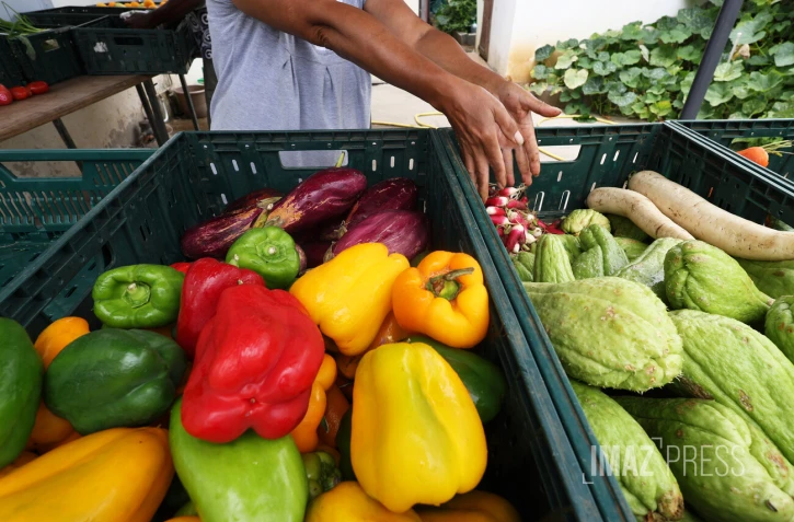 précarite alimentaire 