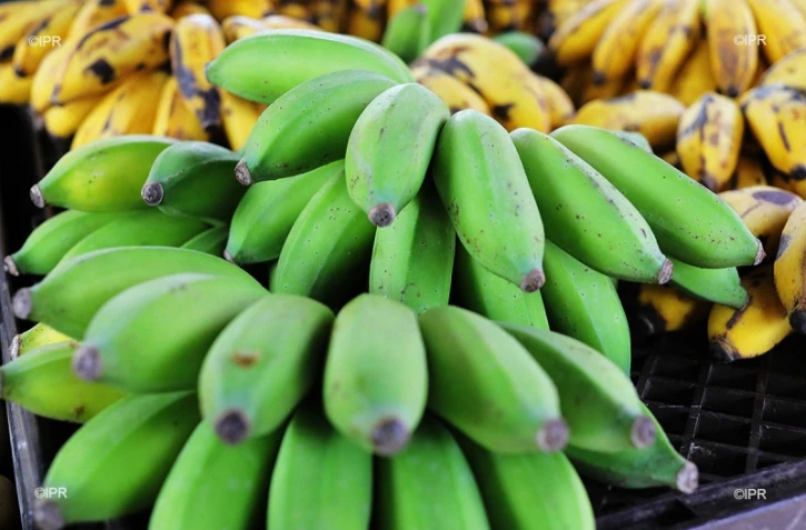 reportage légumes et fruits 