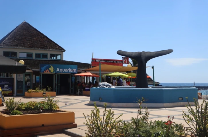 Renouvellement des AOT sur le port de Saint-Gilles : les enjeux d'ici 2026