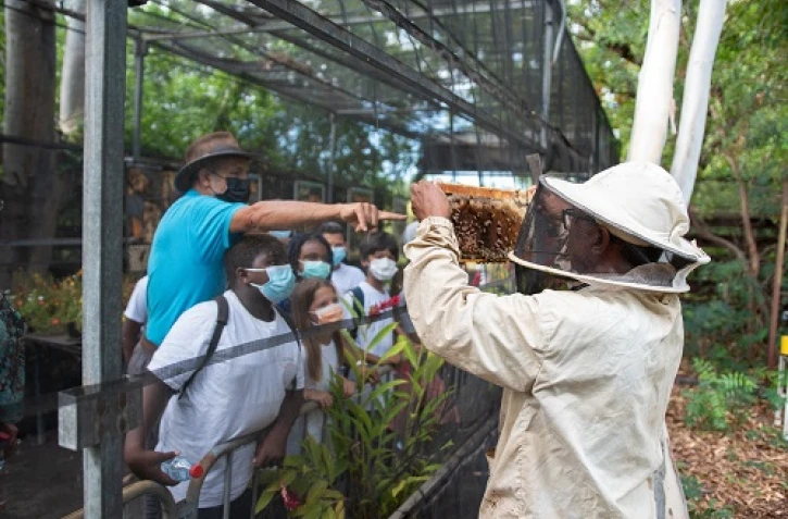 visite ruche le port