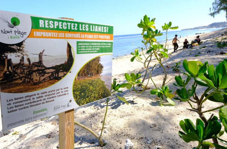 Saint-Paul : des projets pour végétaliser les plages de l'Hermitage et des Brisants