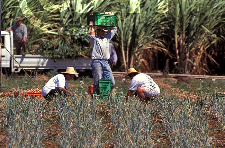 agriculture