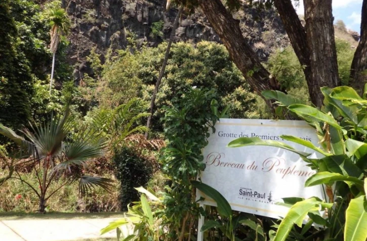 Des vols d\'arbres sont observés sur le site de la Grotte des Premiers Français.