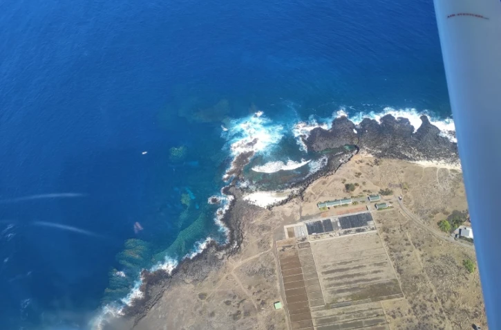 Baleines : la fin de saison semble se confirmer