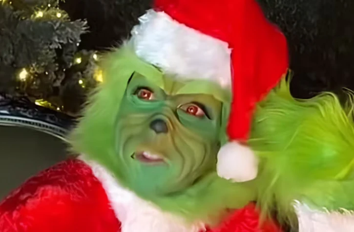 Céline Dion se déguise en Grinch et chante "All by Myself" pour Noël