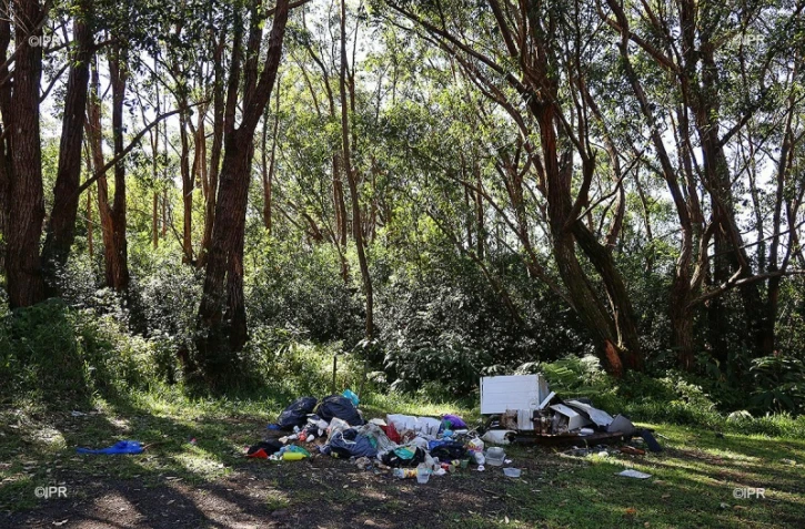 déchets 