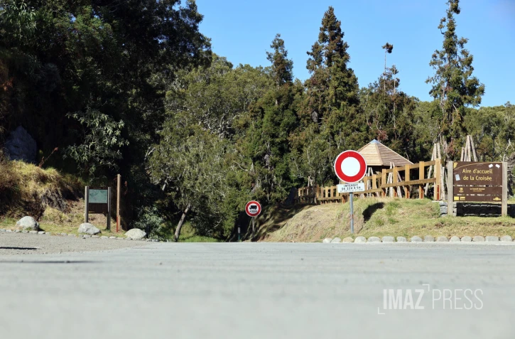 route forestière des tamarins RF9