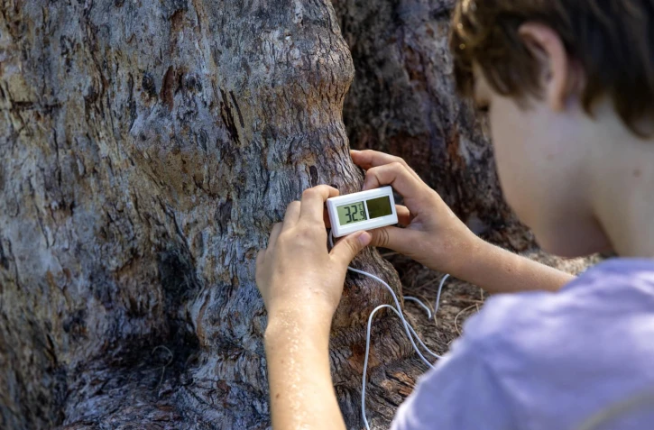 Biodiversité, enfant, sensibilisation, arbre, territoire, élève