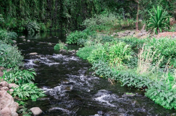 Réseau de la Rivière Saint-Denis