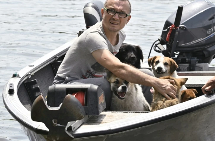 Un bénévole avec des chiens rescapés de l'inondation qui a suivi la destruction du barrage de Kahkovka, à Kherson en Ukraine le 8 juin 2023