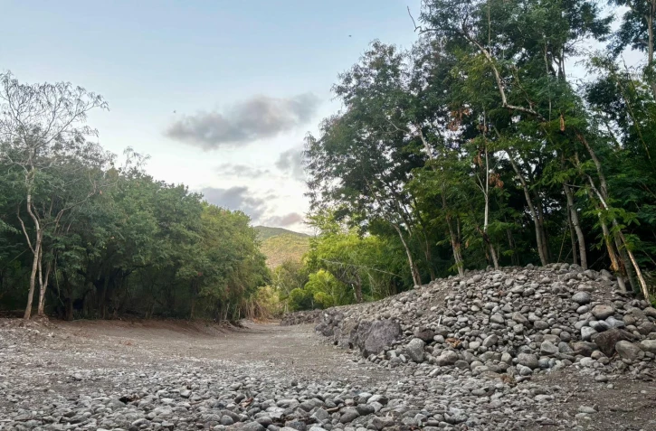 Ravine des Lataniers