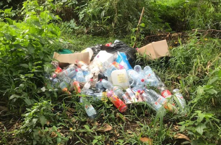 Band Cochon : 180 photos pour 11 villes cette semaine