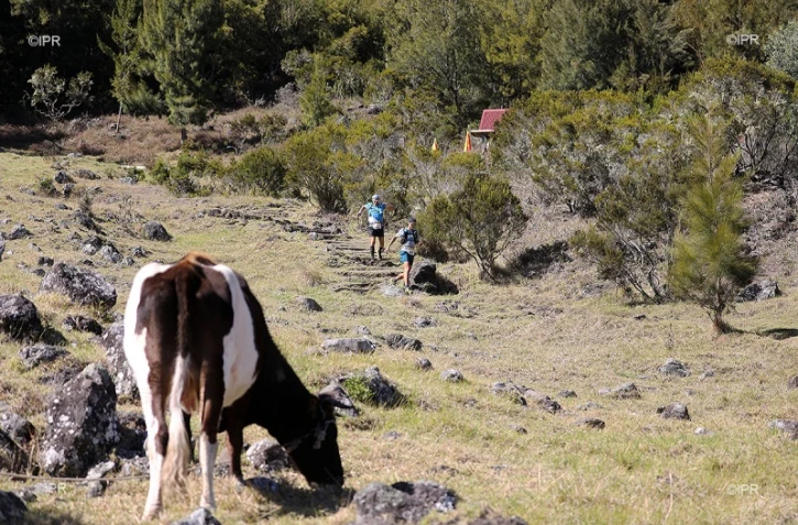 Grand Raid 2019, départ, Ravine blanche, octobre 2019, diagonale des fous
