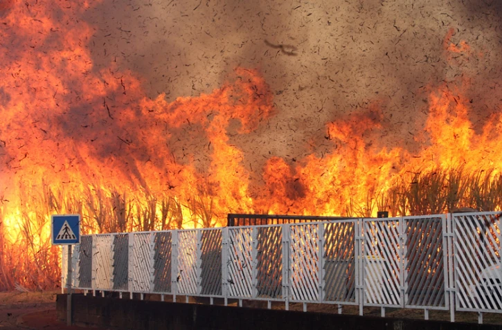 Incendie à la Rivière des Pluies