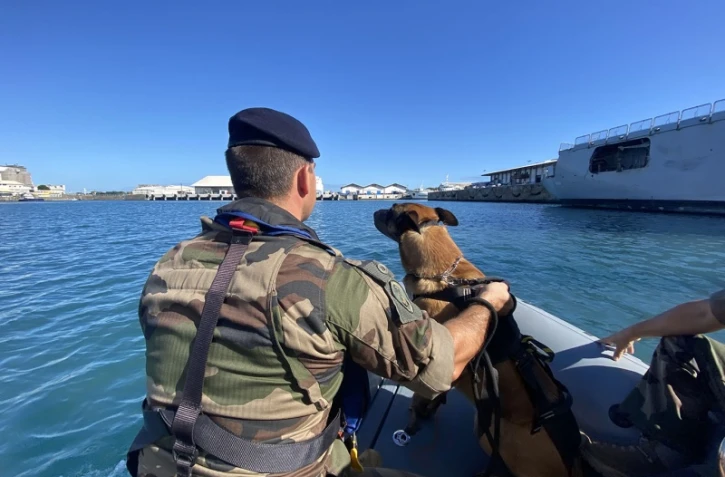 Marine Nationale : à terre ou en mer, les soldats et leurs chiens ne font qu'un