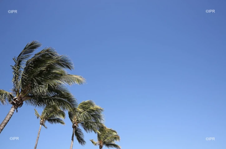 météo réunion 