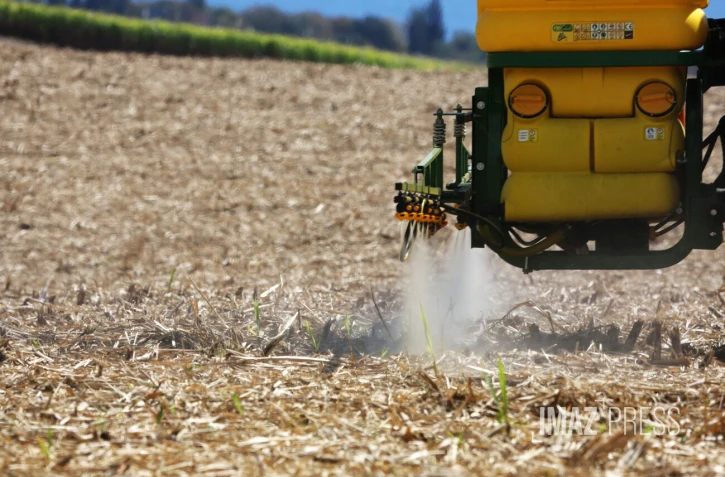 engrais canne à sucre 